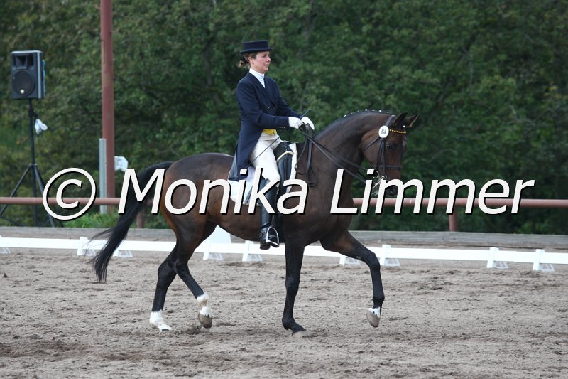 009M9945_Ginger T_Dressur S_St. Georg.JPG